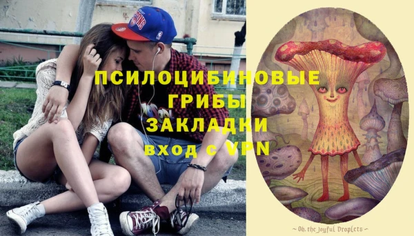 PSILOCYBIN Верхнеуральск