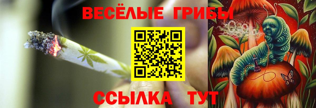 Псилоцибиновые грибы мухоморы Сарапул